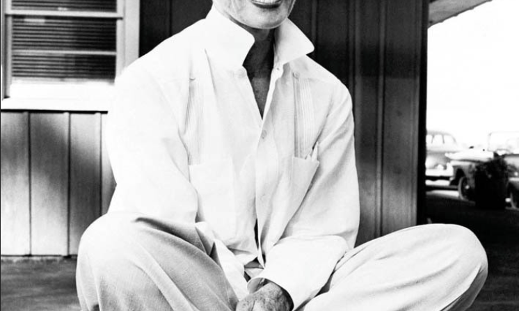 Iconic Shirting Fabrics